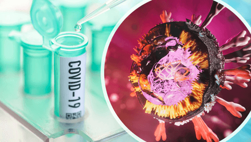 Stromectol Ivermectin COVID 19